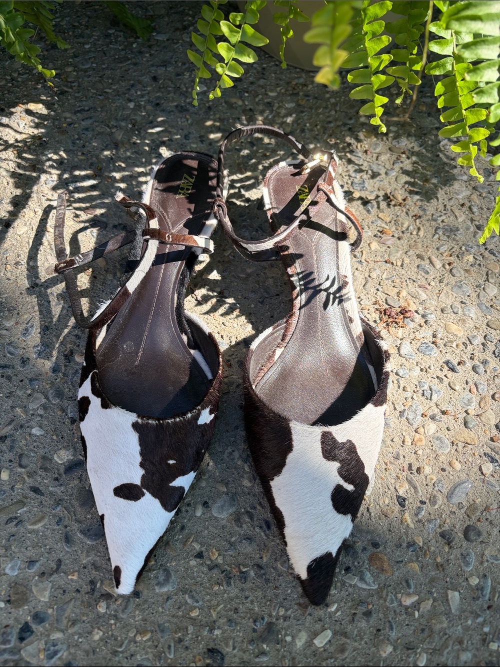 Zara Black & White Cowhide Pointed-Toe Ankle-Strap Flats